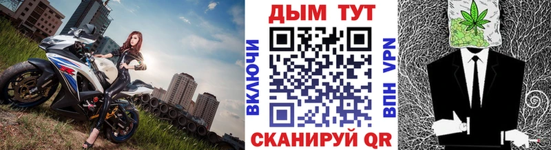 как найти закладки Новопавловск Бошки марихуана Amnesia